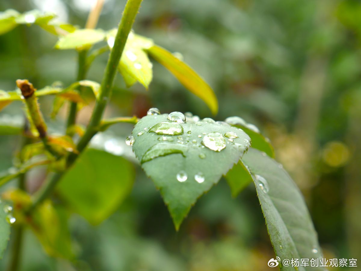 【股权好军师】透过财报看经营：搞清“现金流”的来龙去脉看财报，最重要的是看懂钱的