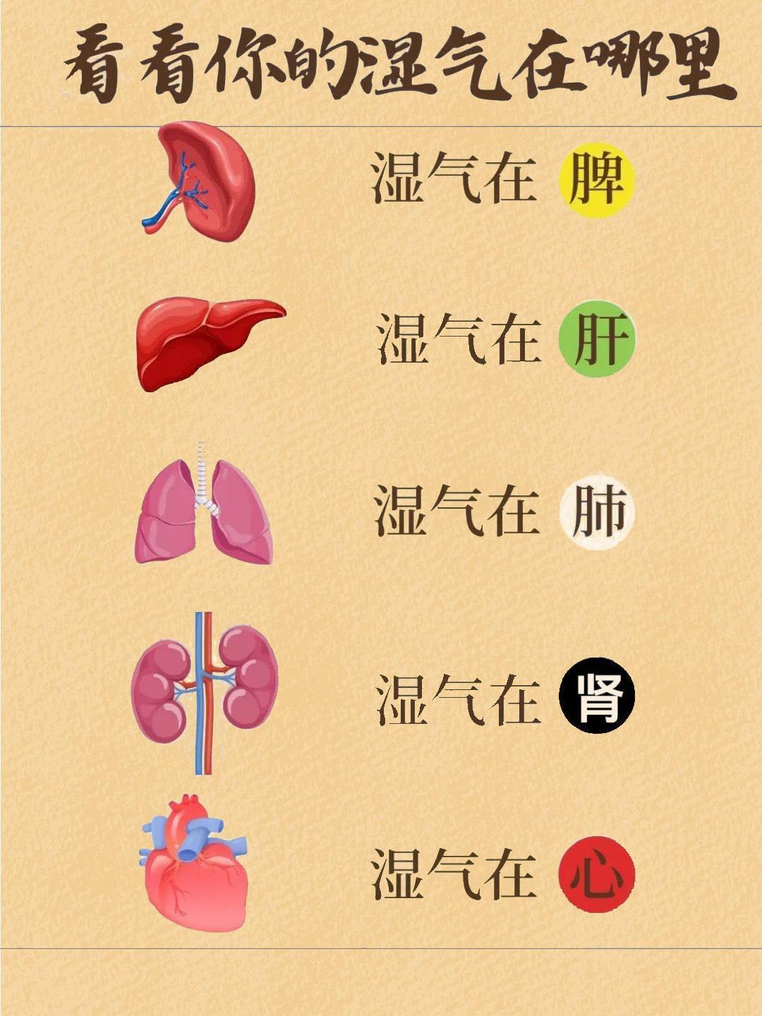 湿气不请自来？五种湿气的征兆和影响，别让它们悄悄害了你！！！#武医张鹏##国医的