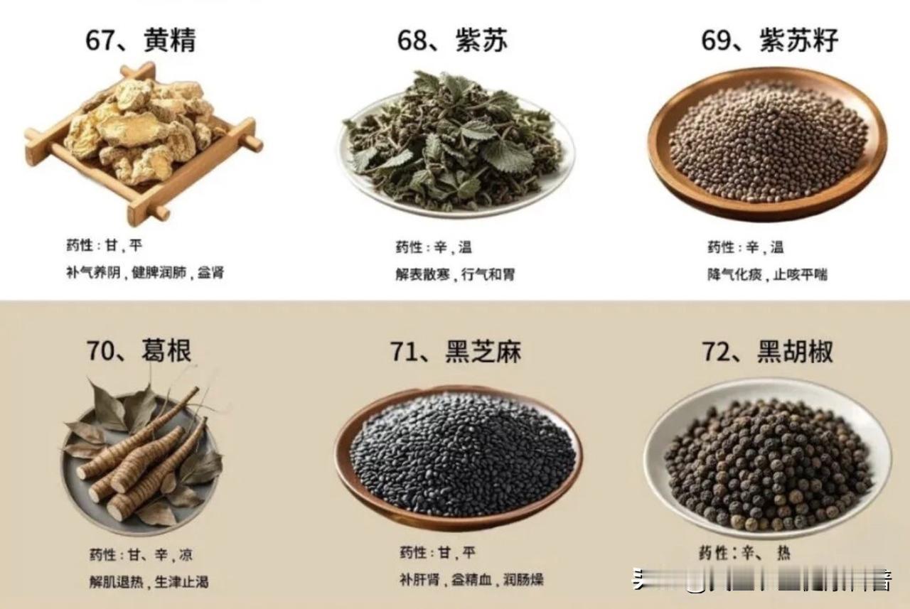 什么药材种植前景最好? 2026年中药材市场告别普涨行情，进入结构性分化阶段，不