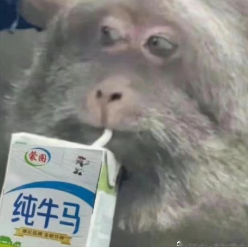 #一句话科普# 奶茶作为一种含牛奶+高糖分的饮料，跟痤疮能搭上关系，不过偶尔喝一