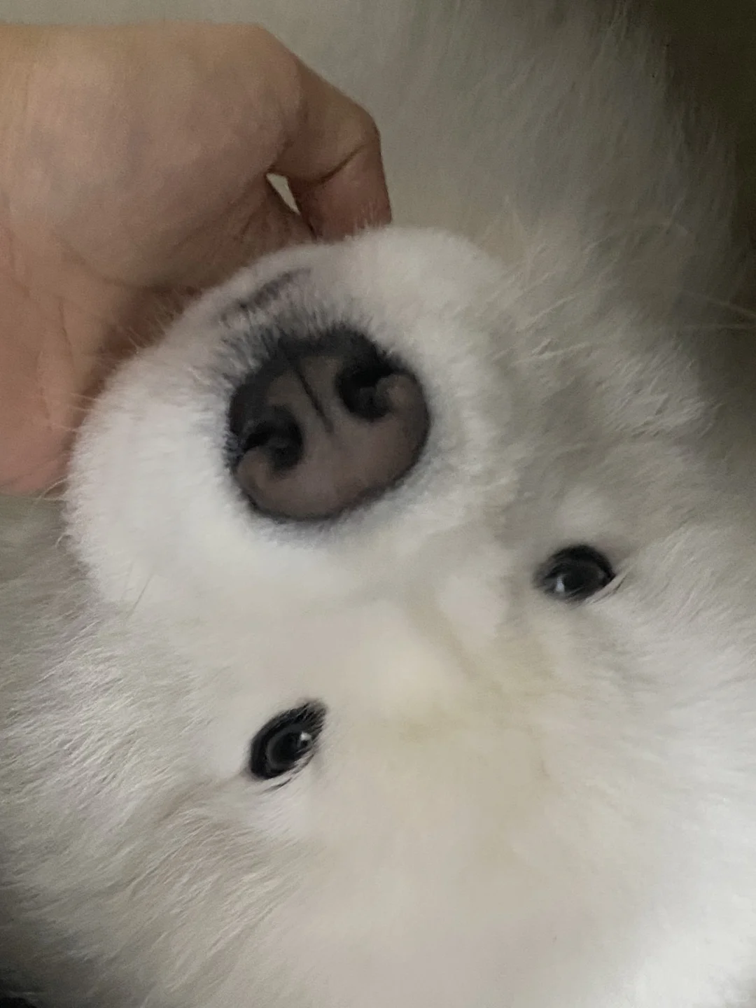 宝怎么尿床了还要贴贴呜呜呜呜