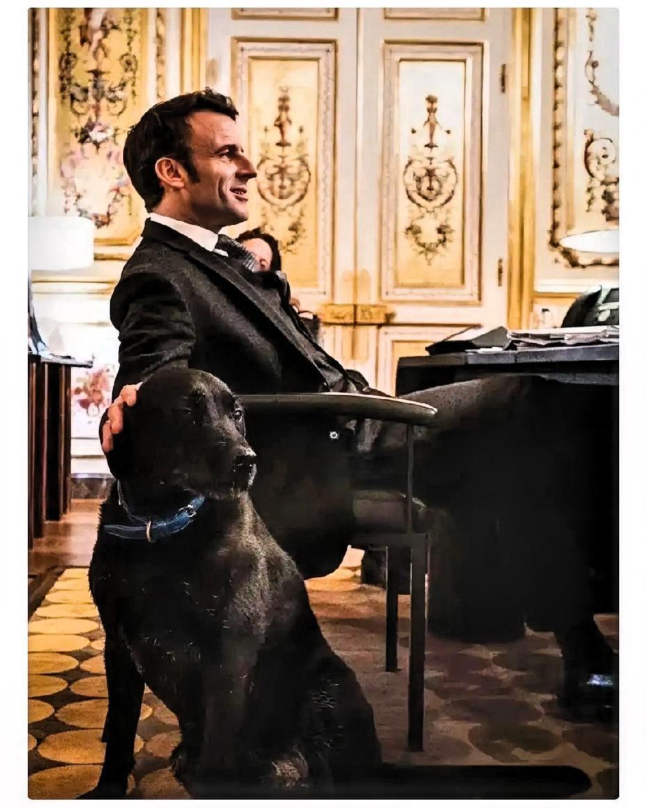 法国总统马克龙发表迄今为止对特朗普政府最严厉的斥责！

马克龙：美国正逐渐疏远部