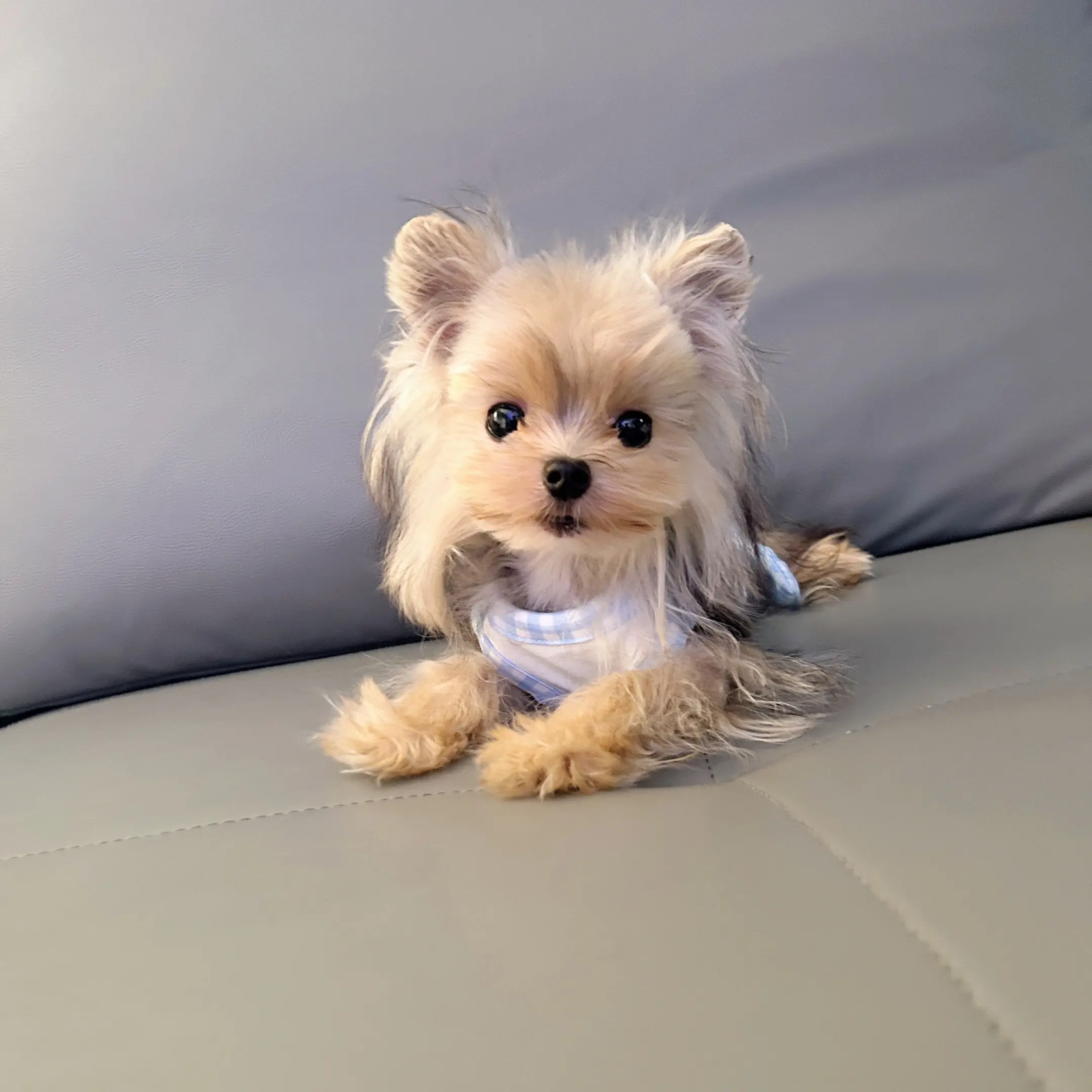 这么可爱，不知道会是谁的心肝宝贝。