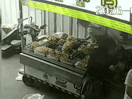 小孩姐不是故意的，
但是这一车的食物要怎么处理呢？