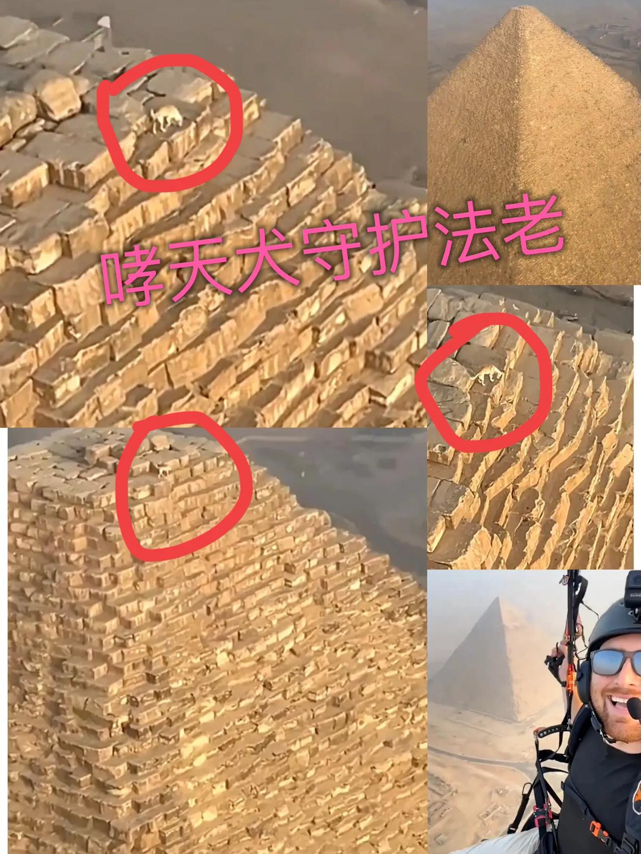 太神奇了，一男子乘坐动力滑翔伞，正在欣赏金光闪闪的胡夫金字塔时，突然发现金字塔顶