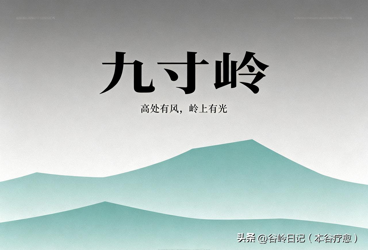 谷岭日记（2026年7月6日·晴）

昨晚的歌声还在耳朵里没散尽，今早天刚亮，几