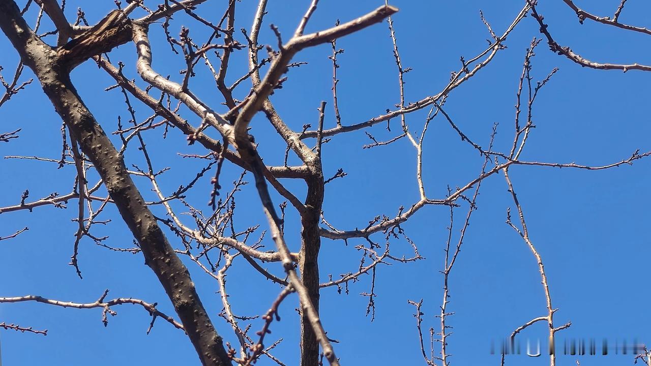 大吵大闹不可怕，可怕的是都憋在心里，然后用焦虑的情绪影响你，阴阳的话语刺激你，让