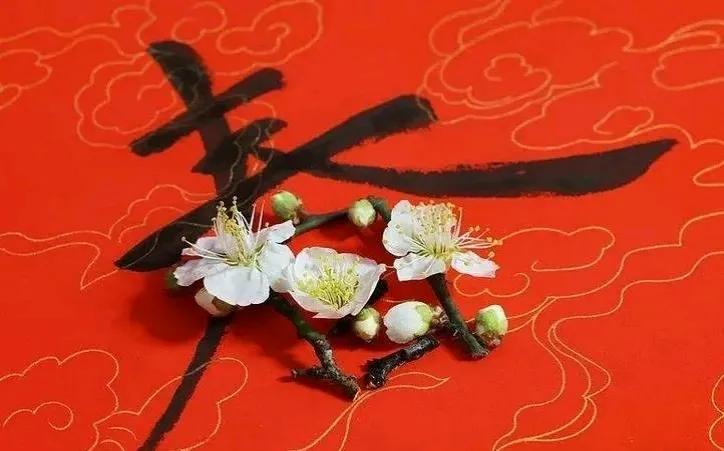 正月初八  8种生存智慧
送给您：
李家宁(福建)
1、不求大富大贵，只要小富即