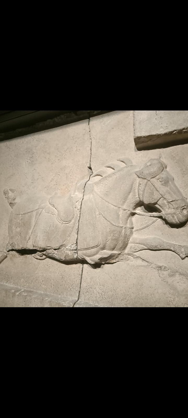 西安碑林之昭陵六骏及其他