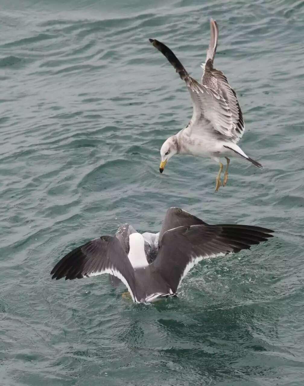 为什么说先爱自己，才配好好爱别人？
 
你是不是也总会这样：宁愿委屈自己，也要成