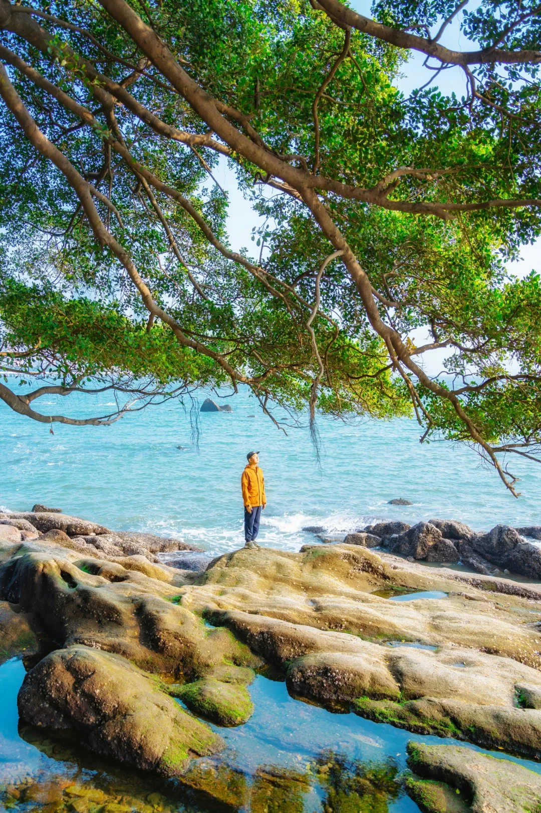 第一次去鼓浪屿！请直接复制这条一日游路线