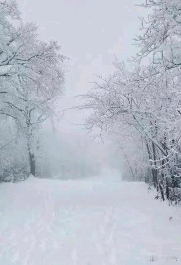 我最喜欢的季节是漫天飞舞着雪花❄️的冬天！一片银色大地，洁白纯净没有灰尘，踩在雪