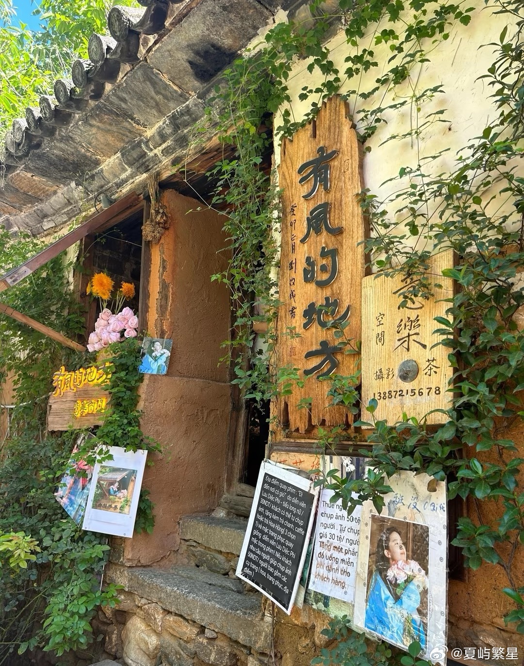 用阅读重塑你的认知我的私人宝藏书单书评 把四季拿来爱你那年春天，我一个人去了山里