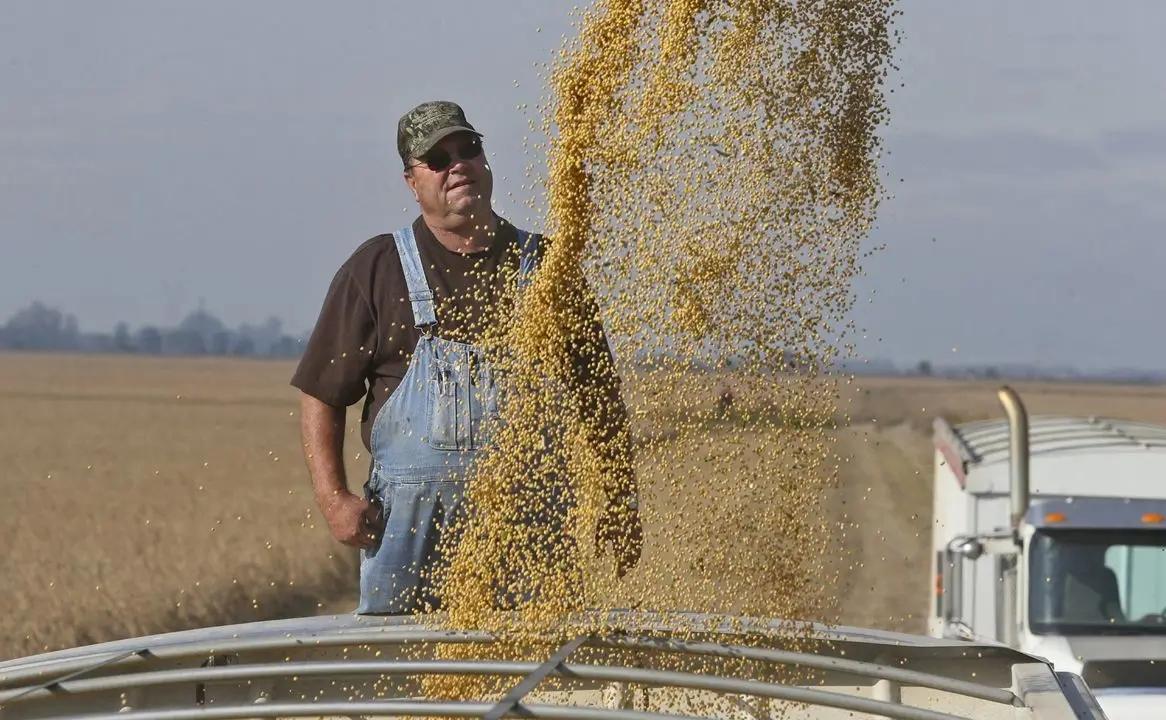 巴西大豆搞垄断坐地起价？对中国出口高溢价，中国买家果断集体暂停采购，中方手握三张