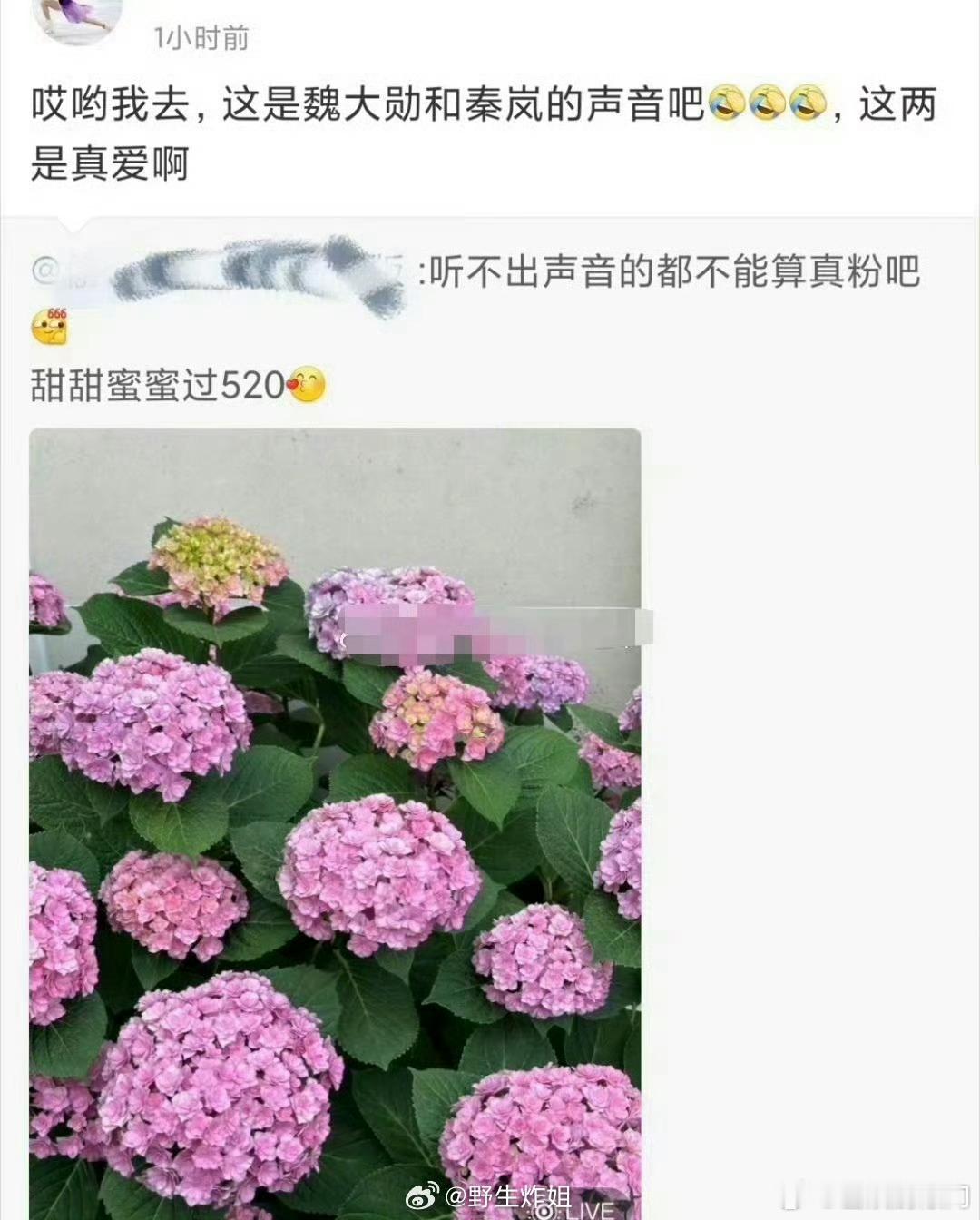 秦岚520发了疑似有魏大勋声音的live图 