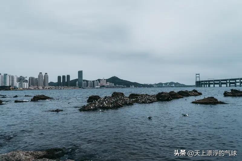 实话实说：大连的城市海景颜值，真的比青岛高一个档次
 
很多人纠结北方海滨城市谁