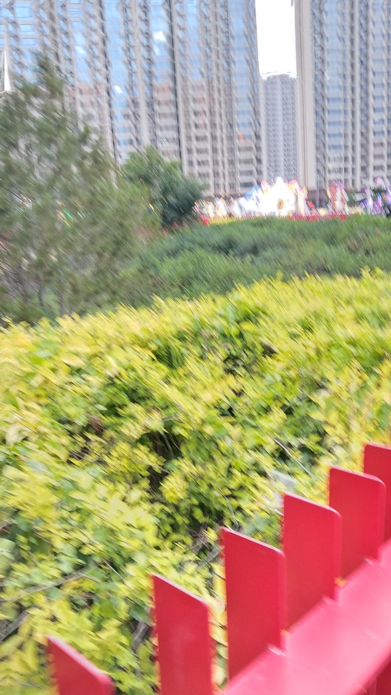 在繁华都市中，一片生机勃勃的绿色，带来宁静与自然的气息。这片绿色宛如城市的明珠，