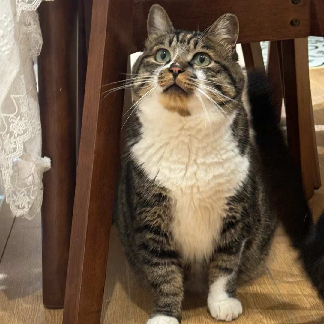 哪个适合做头像呀～