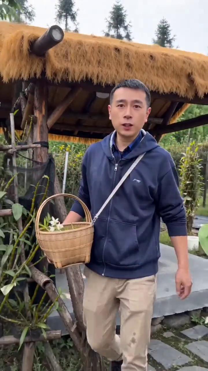 刚从棚里出来，今年头巴石斛长得不错，都是现挖现发，新鲜的很。新的一年，祝大家平安