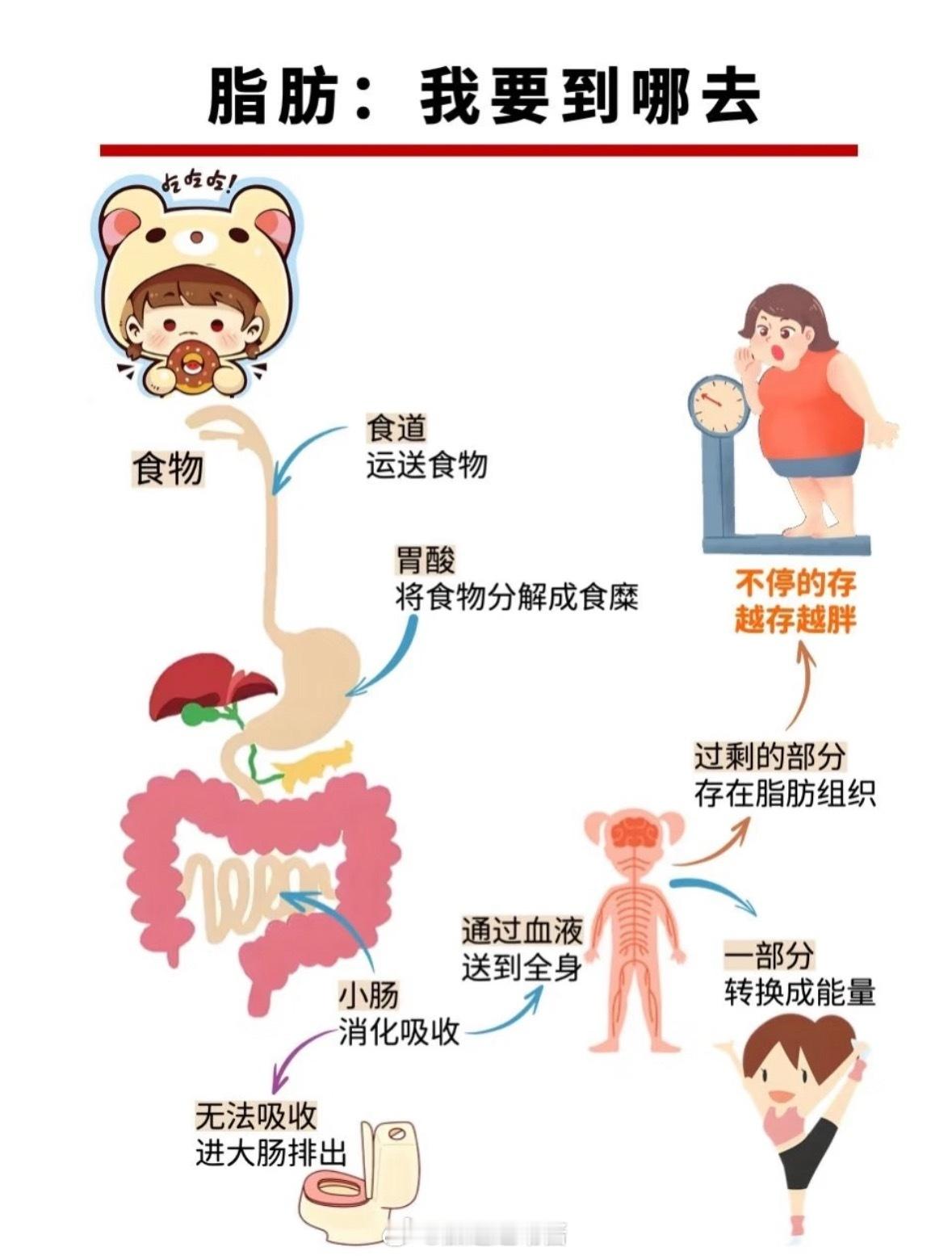 运动就是坚持健身健身房打卡 运动真的几乎是帮一个人进入正向循环最好的习惯。身体会