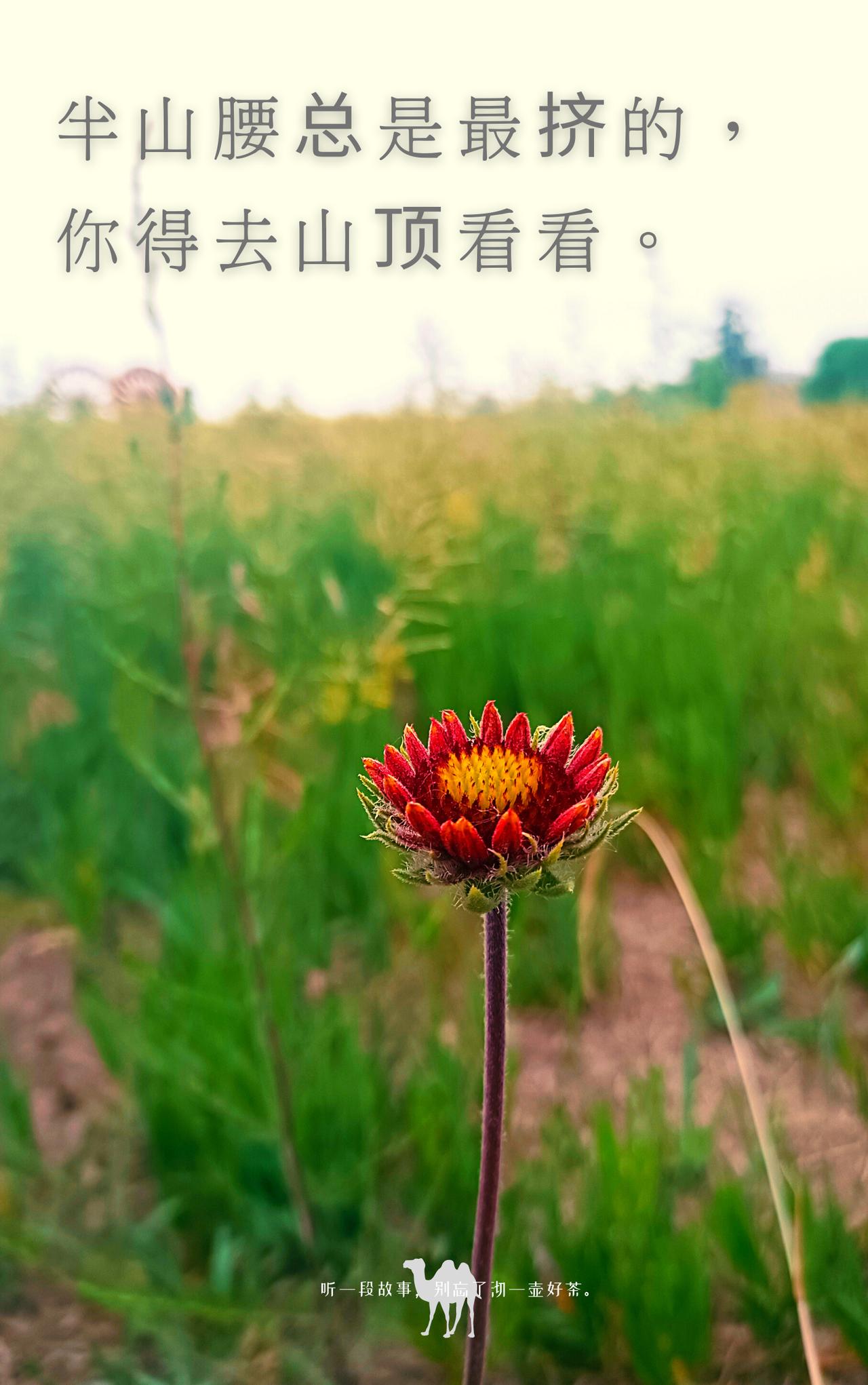 老话说得好：“家家有本难念的经。”

小时候总觉得父母欠自己一个道歉，长大后才发
