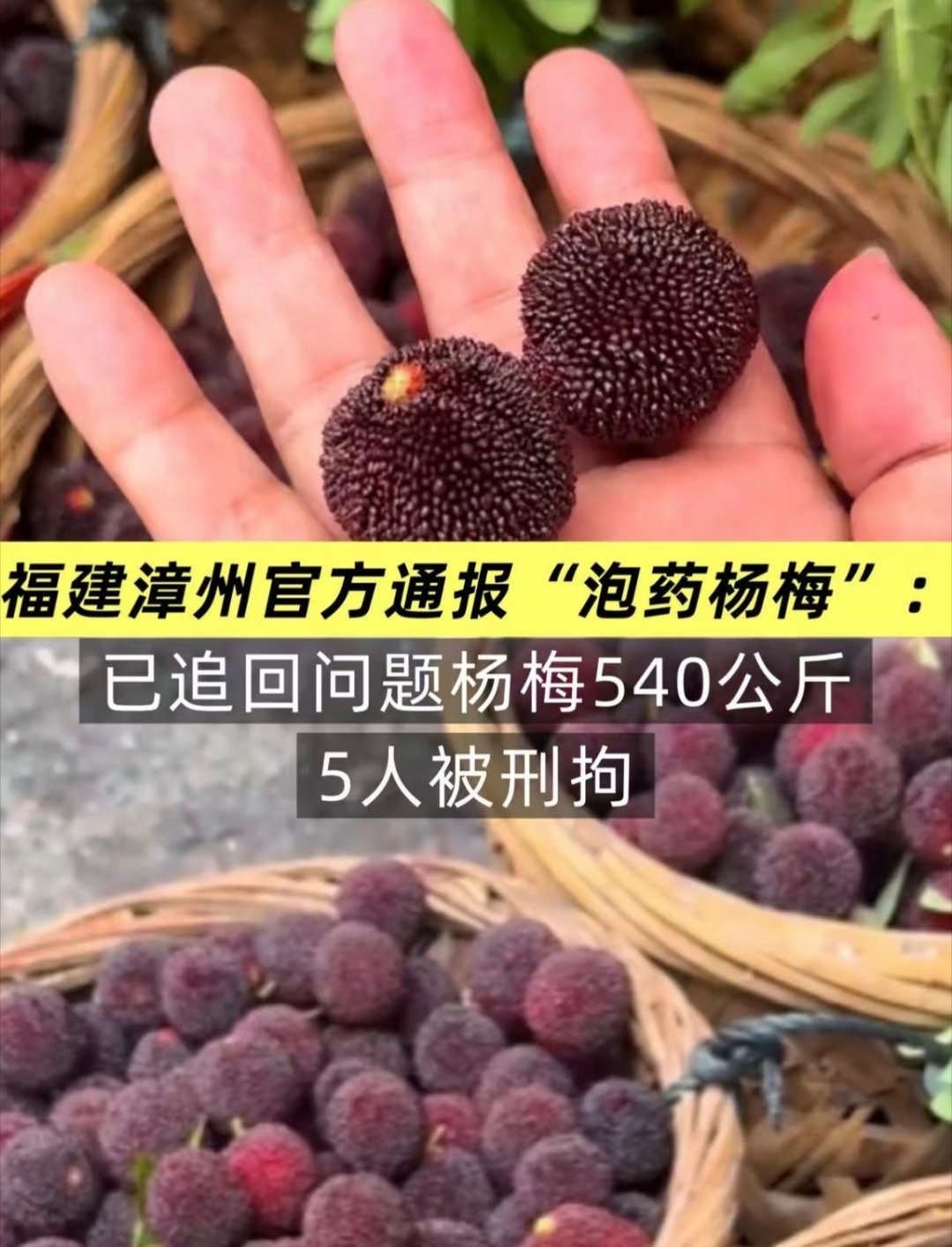 福建漳州泡药杨梅事件5人被刑拘大部分商家卖的杨梅一般是没问题的，可是由于泡药杨梅