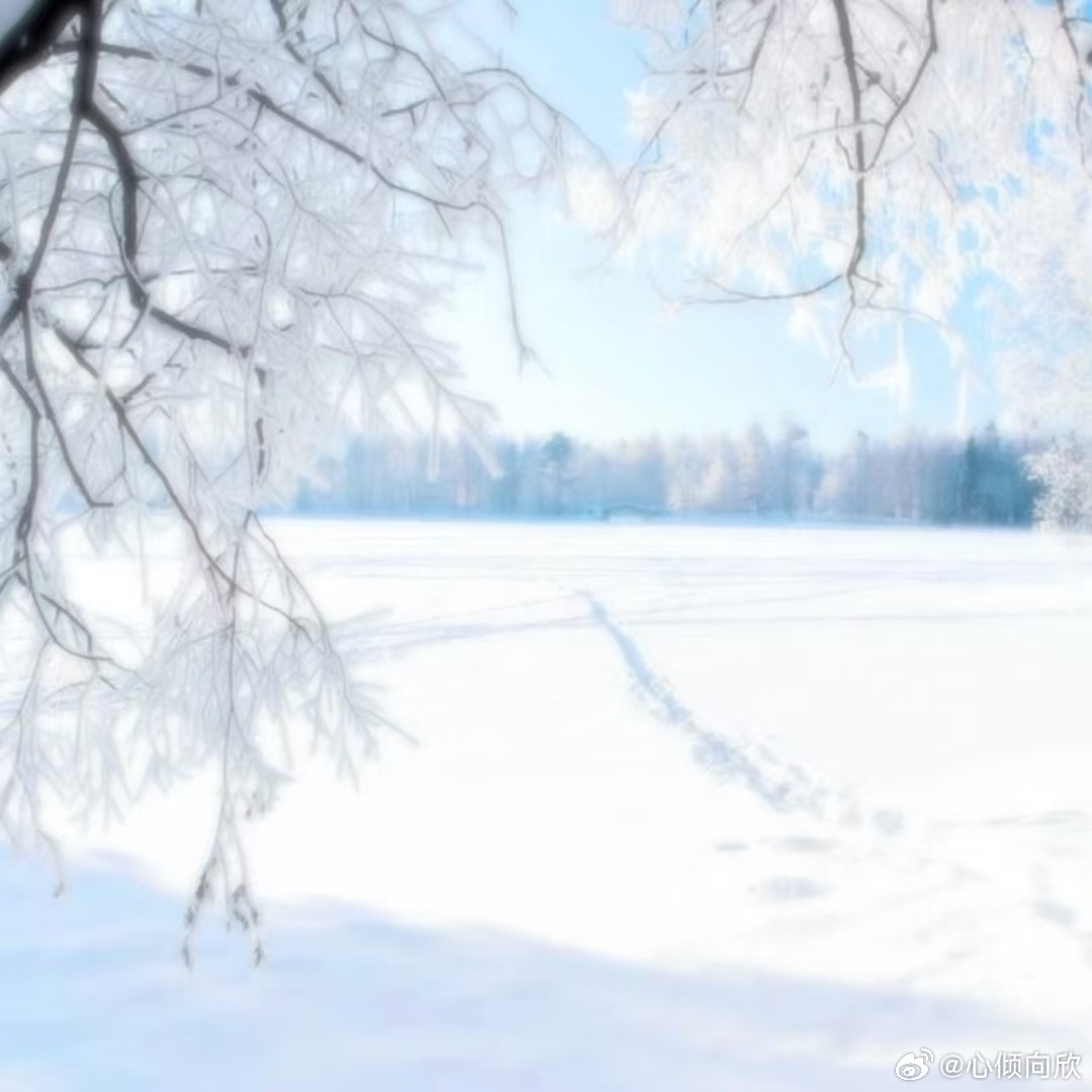 ⁺⊹ฅ 𝗛𝗲𝗹𝗹𝗼 这里是心倾向欣の舒心世界 ฅ ⊹⁺~+「全世界最好