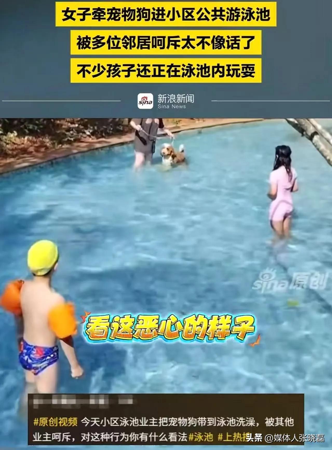 这下怂了！三亚，女子带狗在小区泳池洗澡，邻居们怒斥她“太缺德了，怎么能把狗带进泳