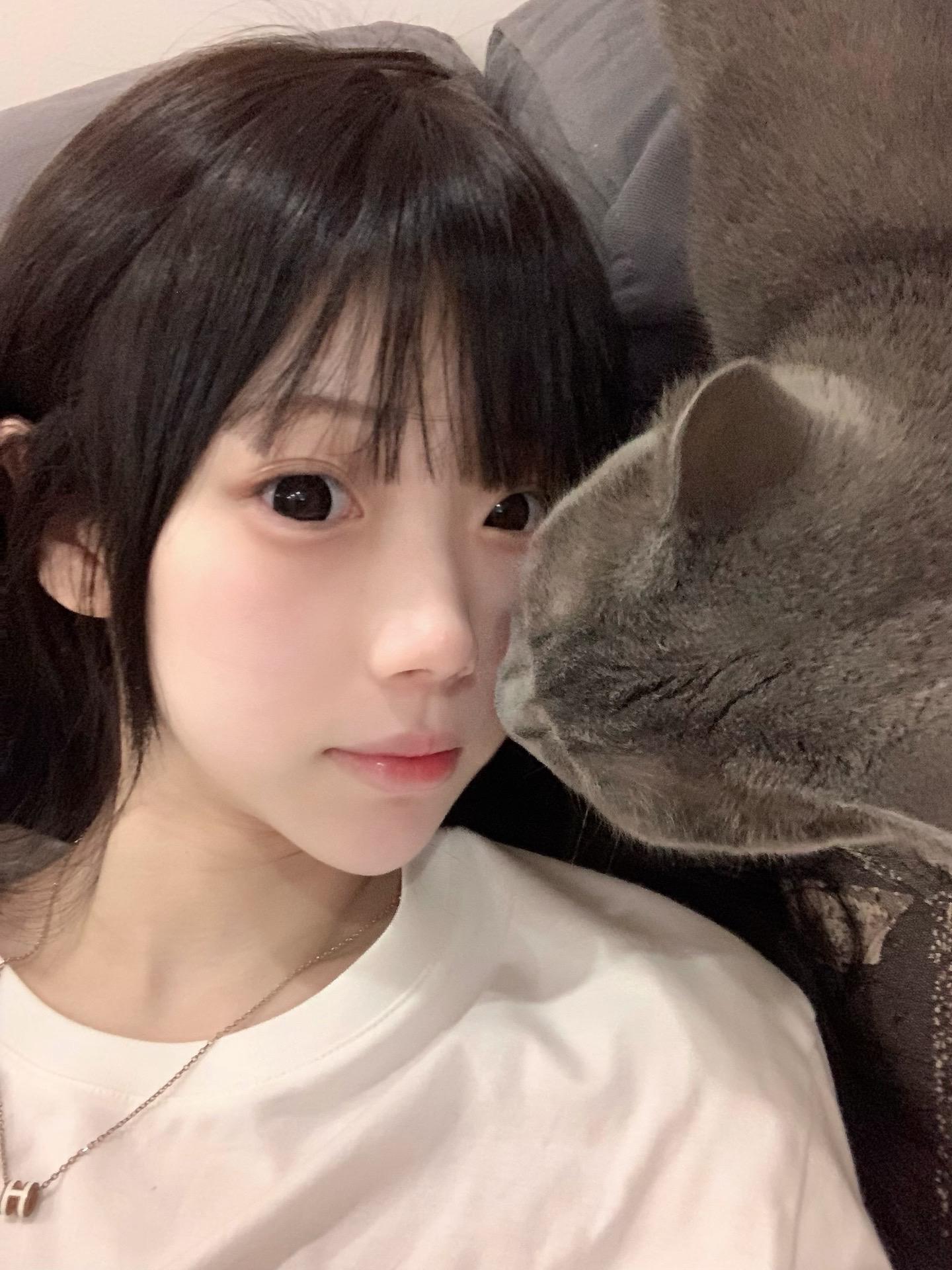 我和我的猫