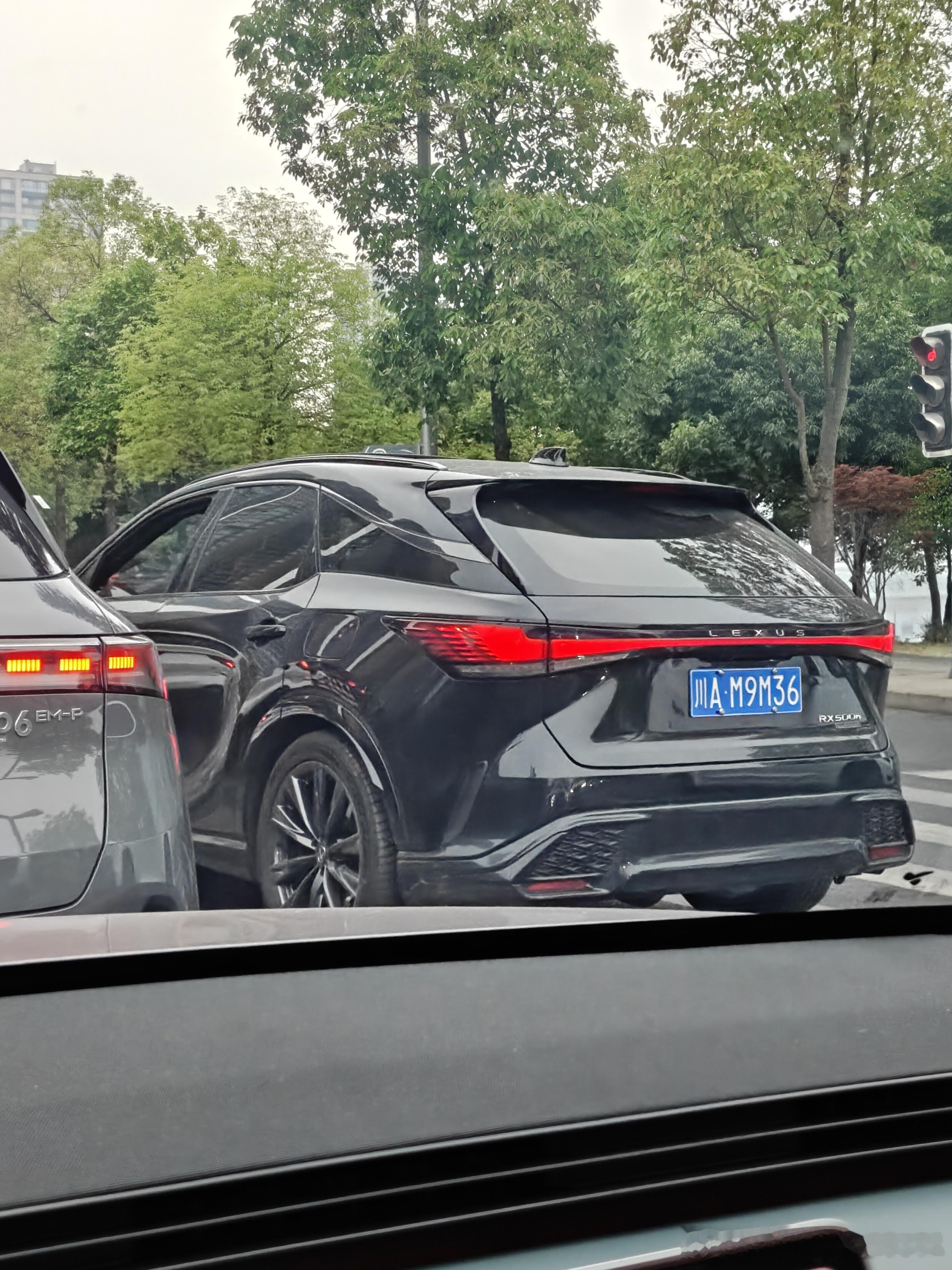 花开富贵表演在她家客厅想怎么开怎么开，不是说rx500h这车的车主画像是懂车有品