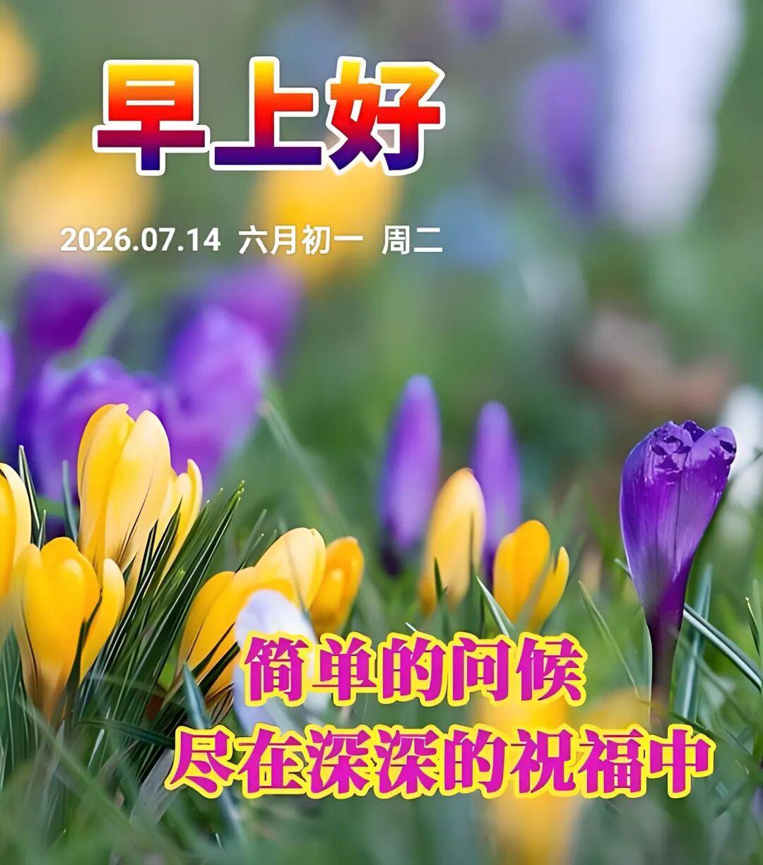 如何看待长沙霸占业主车位女子道歉这个女的真的是敬酒不吃吃罚酒，搬起石头砸自己的脚