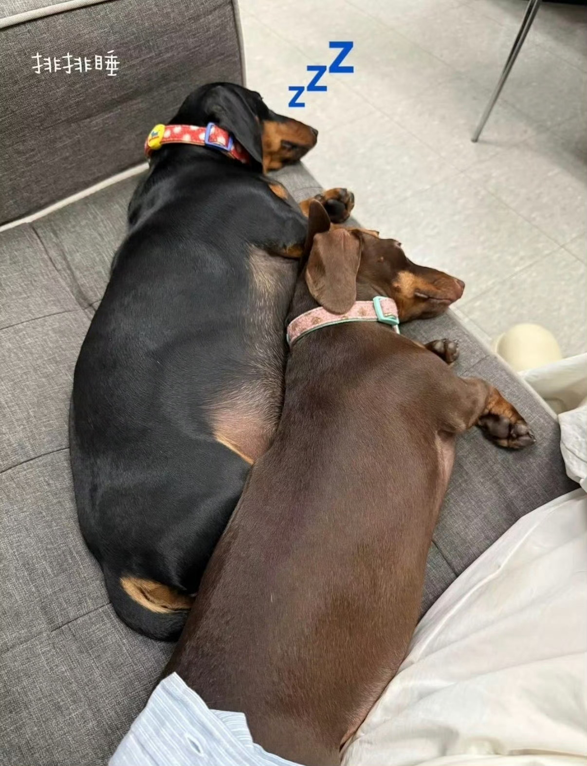 😴 