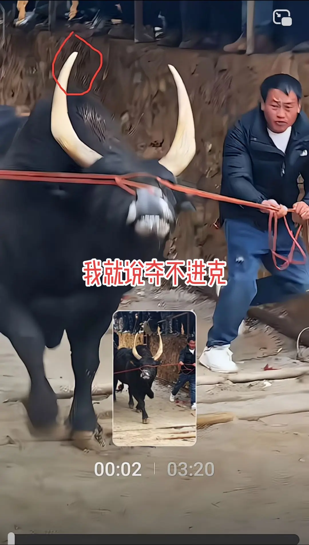 曝光了