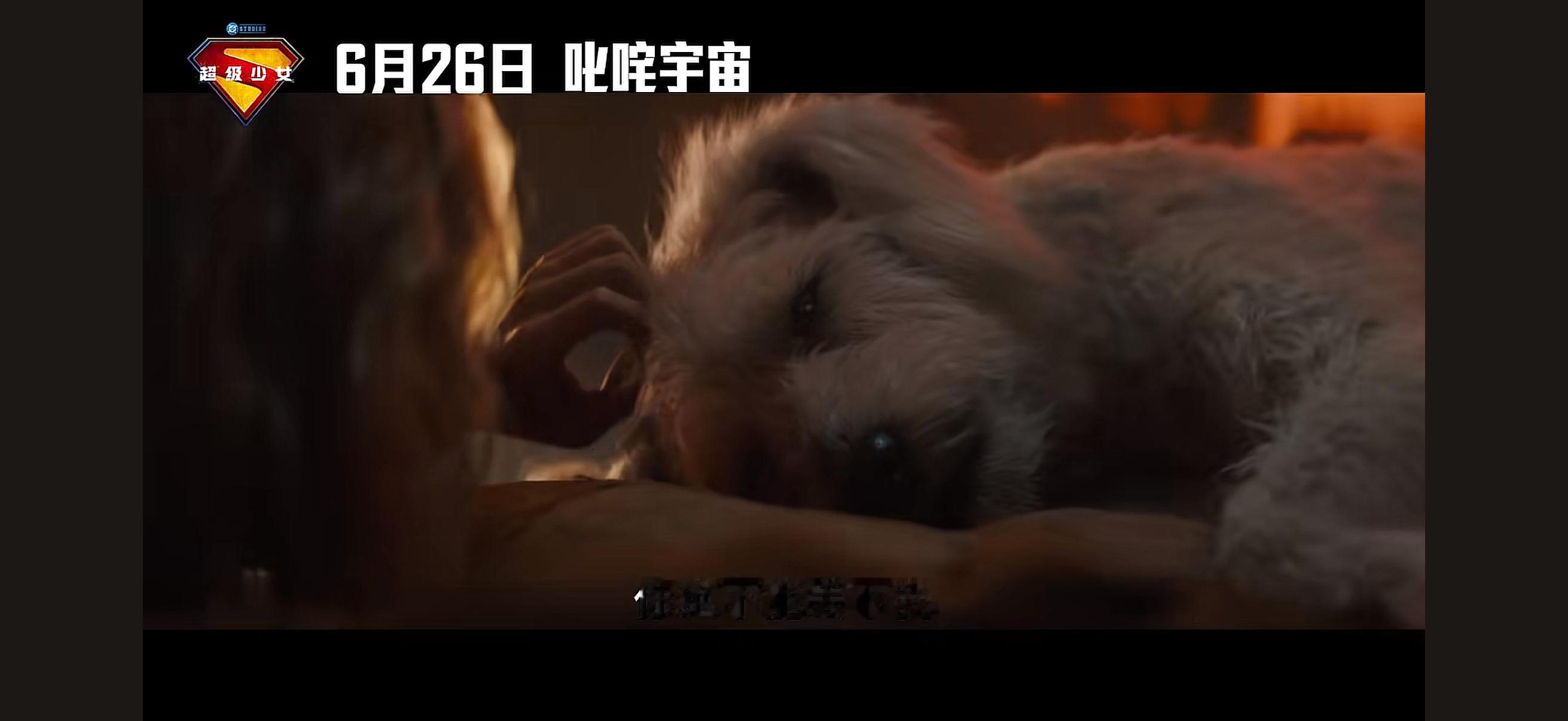 《超女》剧情用4张图概括：我有狗，狗中毒了，我有三天时间找解药 