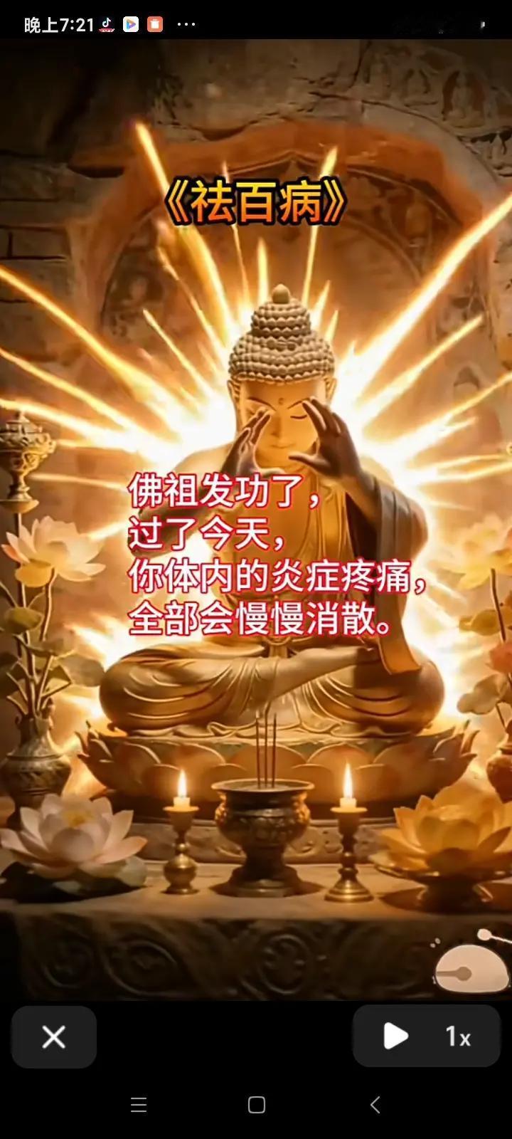 佛光普照
祛尽百病
佛祖慈光
扫净炎痛
过此一日
不适皆散
身体康健
恰似青松