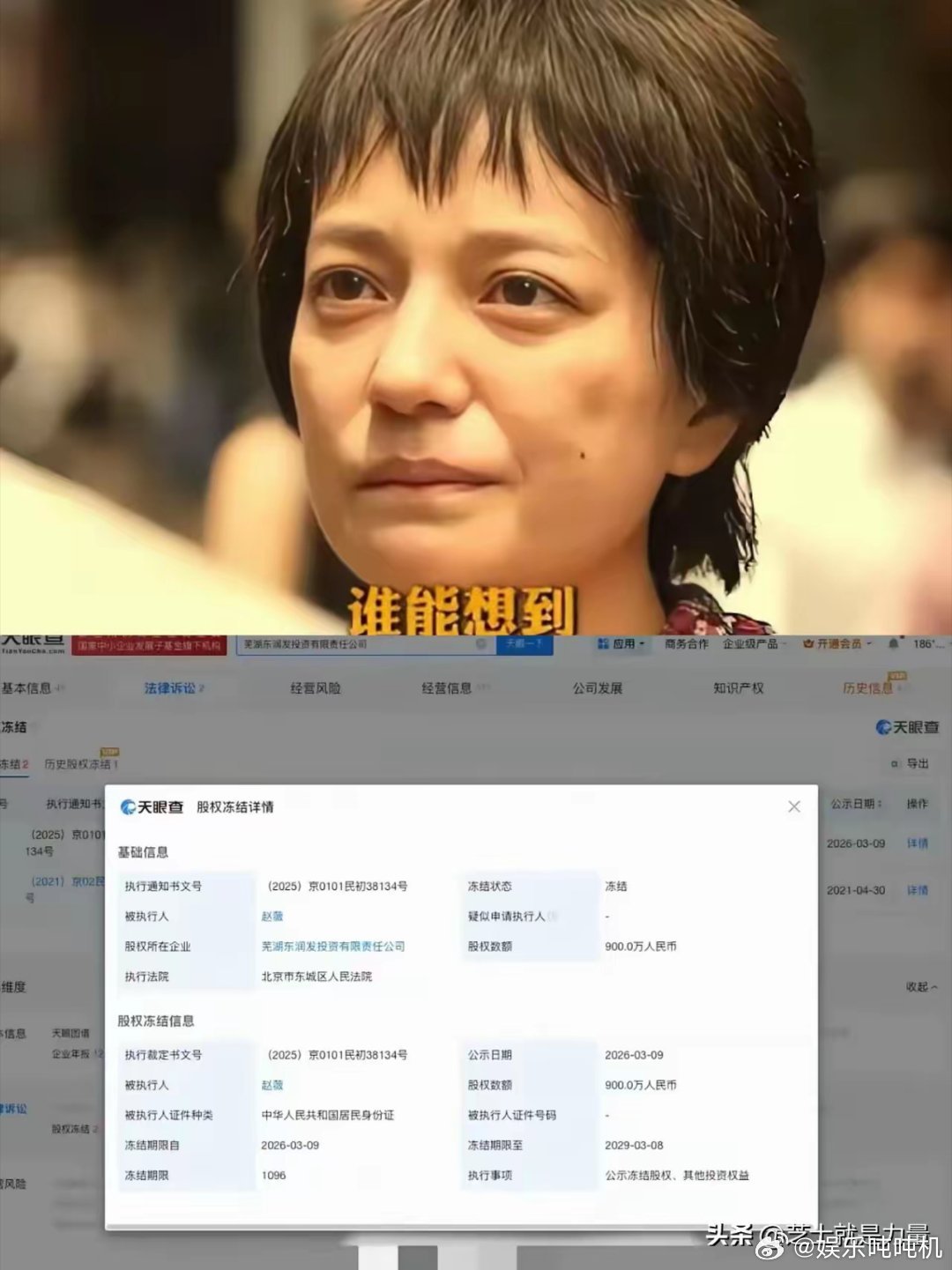 赵薇这回是彻底被“封”住了！刚看到消息，北京东城法院出手了，把她在芜湖那家公司9