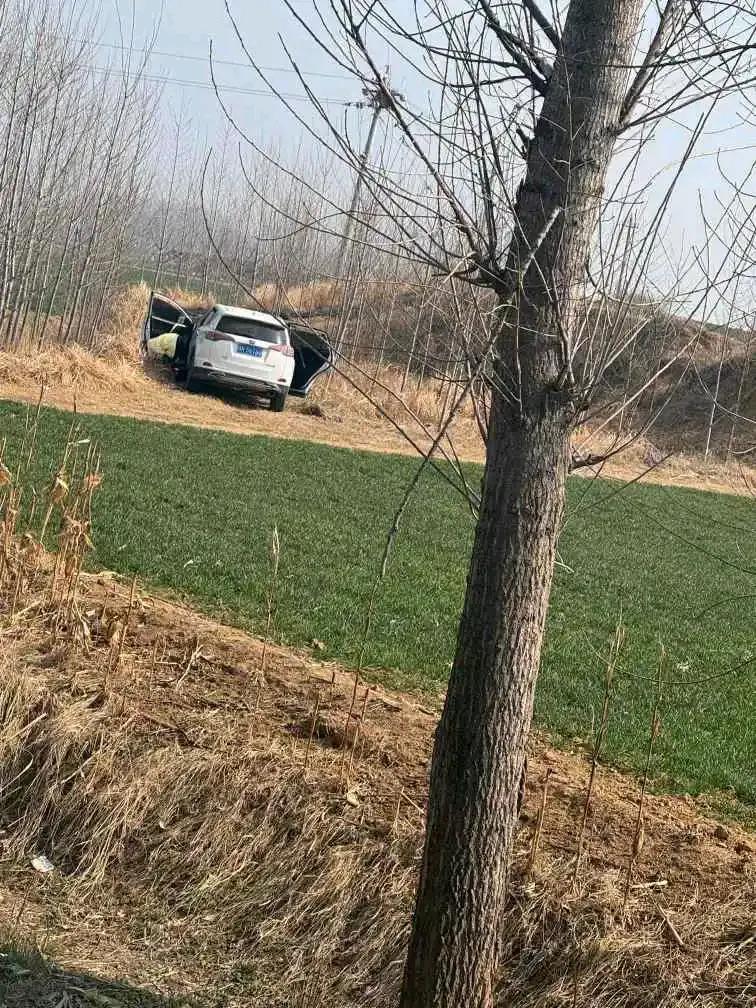 今天去田地里挖荠荠菜，半路发现一辆车，还以为人家开车来挖荠荠菜，就向车的方向走去