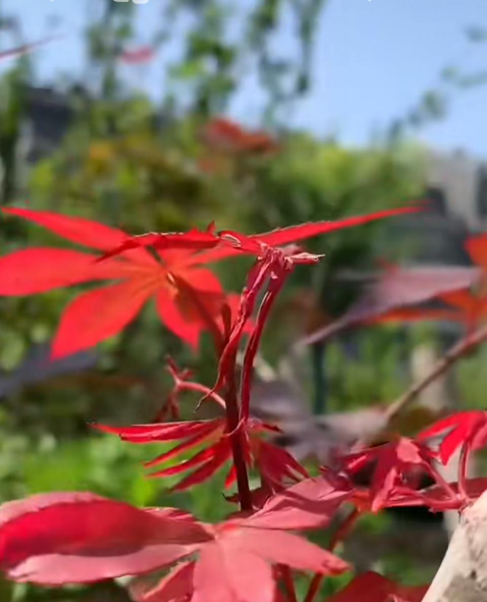 天呐！昨日（3月20日）北京二手房网签量997套，距离破千仅一步之遥！

进入3