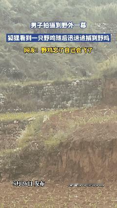 大哥，你忘了自己会飞了吗？[捂脸]