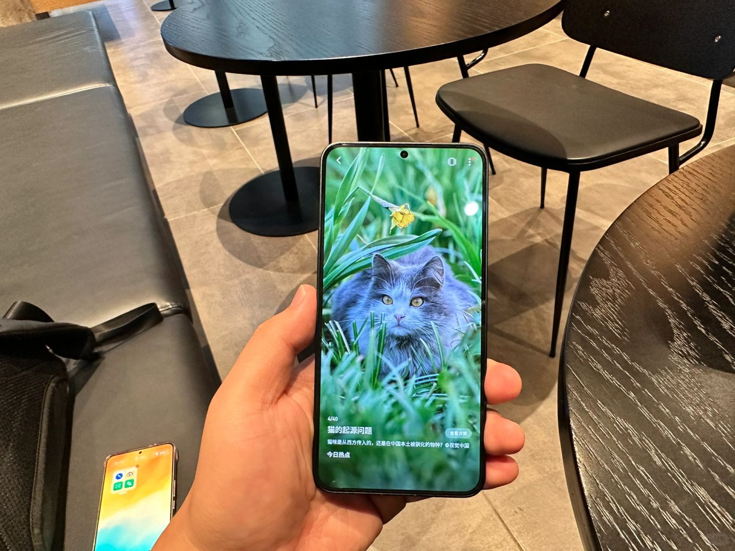 都在说魅族21的白色经典，其实黑色也很有质感的……
	
iPhone用多了以后，...