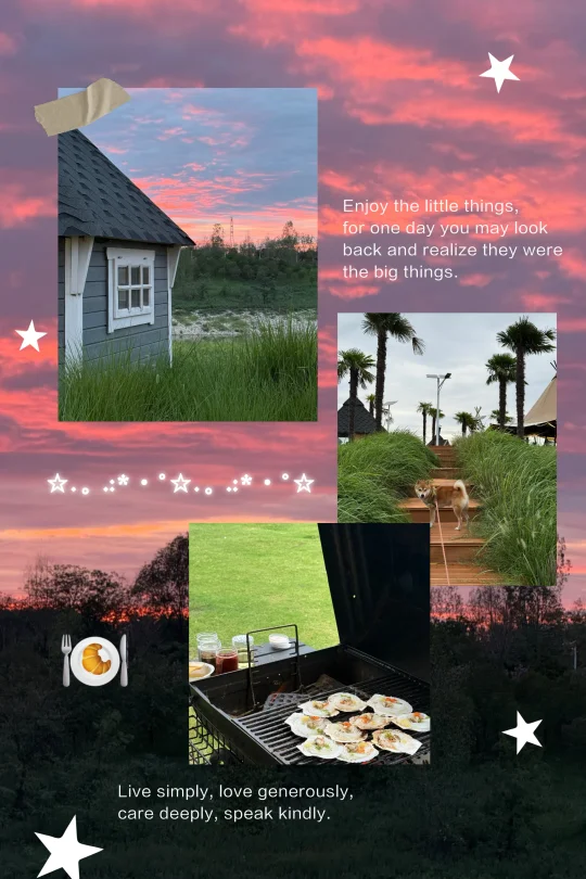 *🍃永远会沉迷这样的时刻✶ ⋆｡˚西安）浪漫