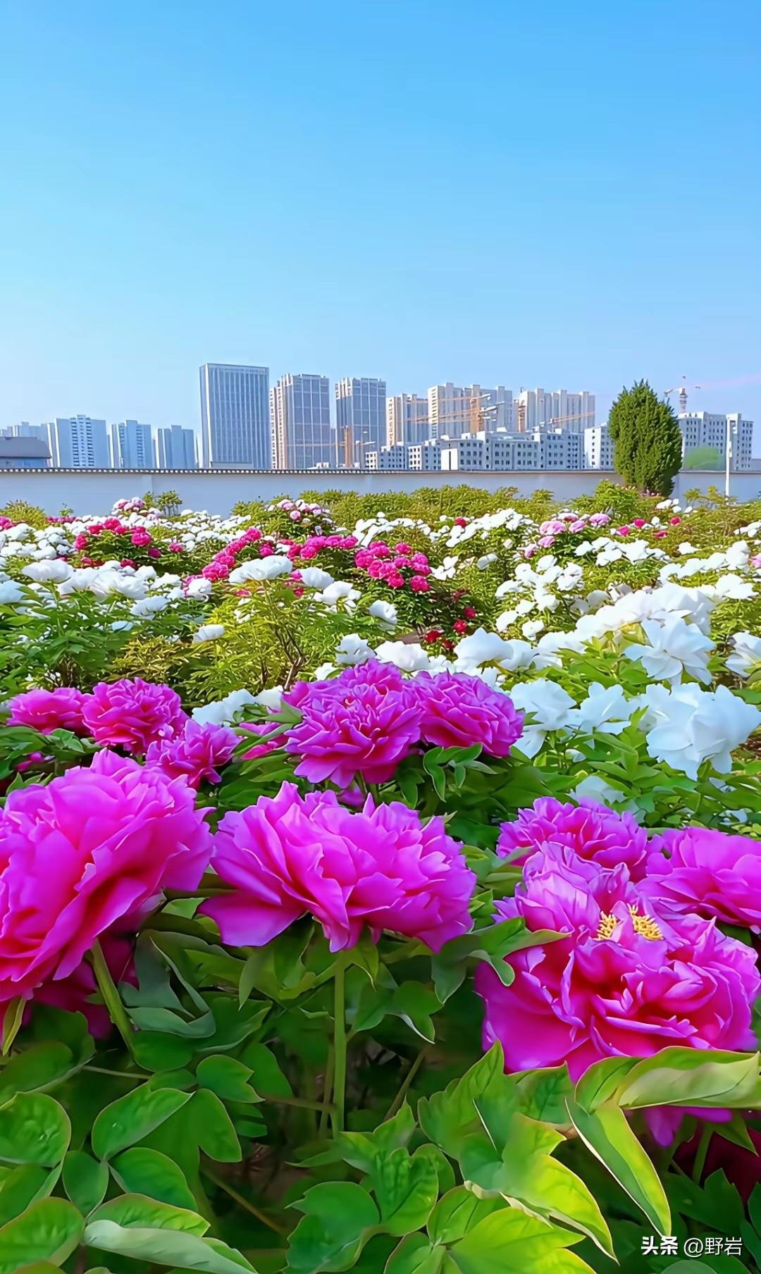 赚不到钱时，先把这几件事做到极致，钱自然会追着你跑
 
1. 把情绪稳住，别让内