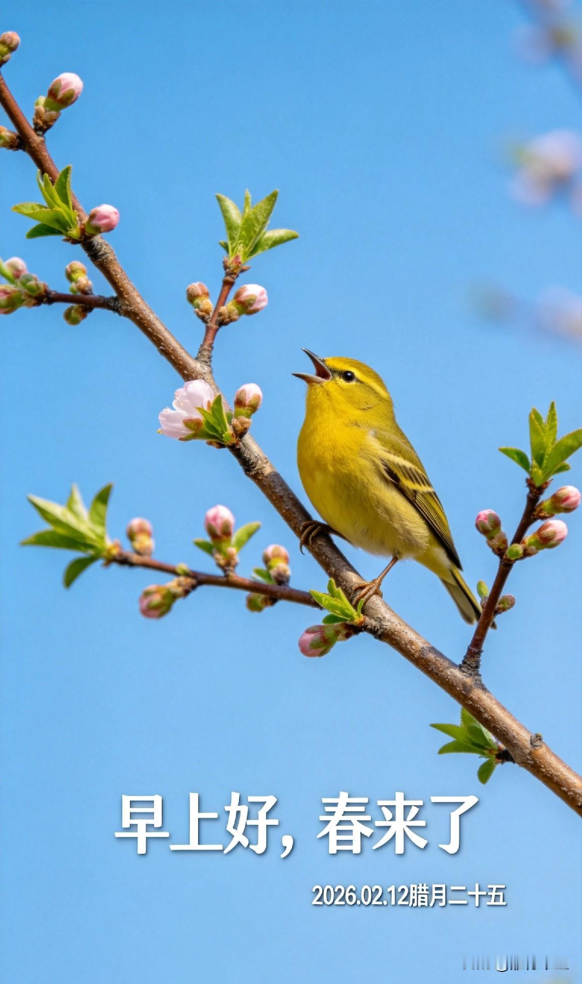 单手递压岁钱？老一辈说这叫“打发要饭的”

新年将至，给压岁钱是传统，但给不对，