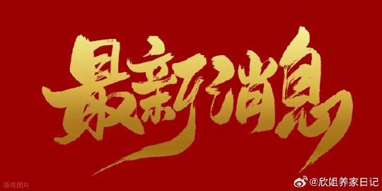 明日A股高开稳了？券商分歧下11月行情怎么走，这些机会藏不住了！<br...