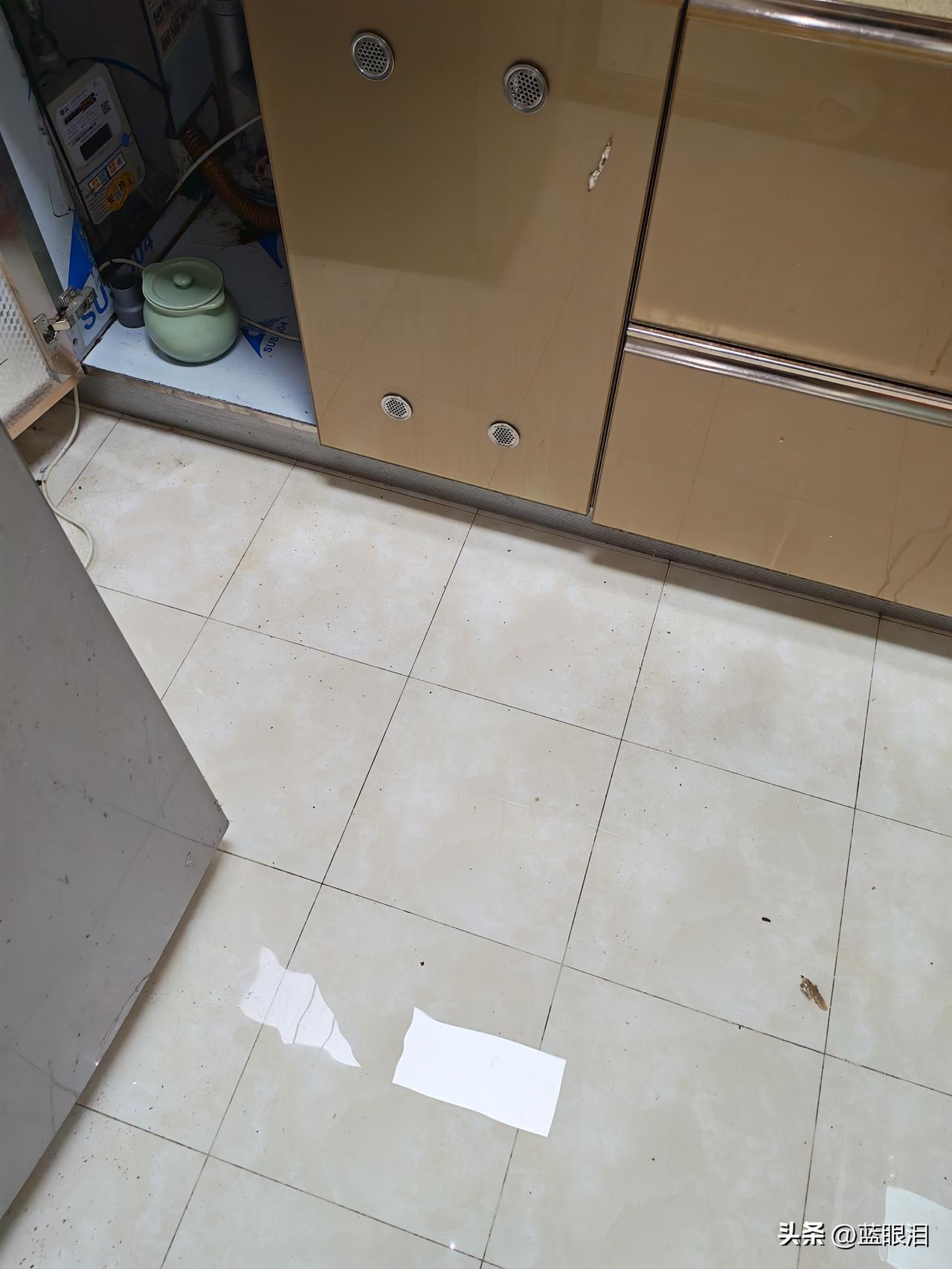 今天下班回家打开家门，发现家里全是水，厨柜下面漏水，打电话给物业说我家漏水了，就