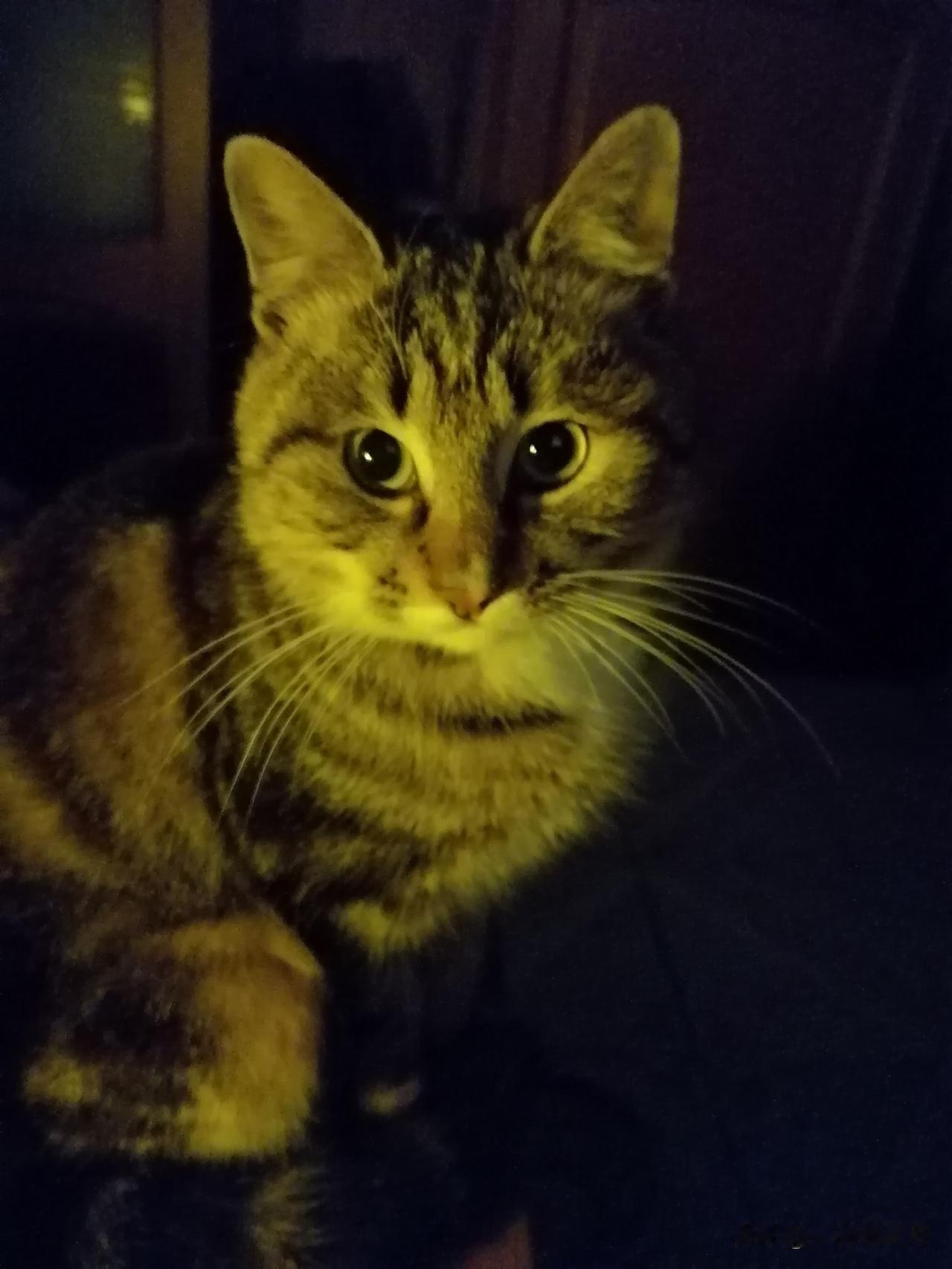 老人旅游景区摔倒死亡
云南巍宝山景区和当地医院
被判承担60℅责任赔偿45.1万