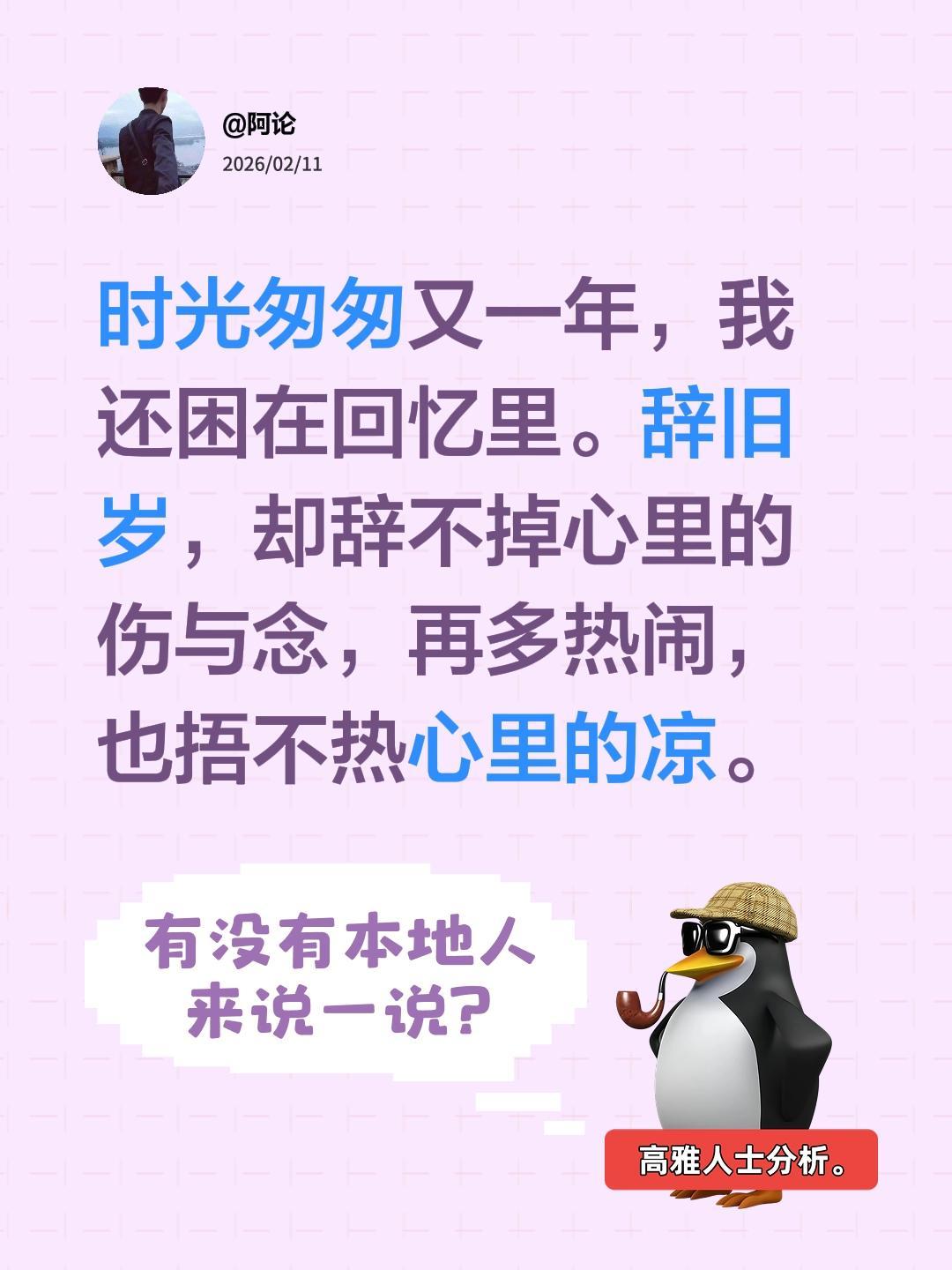 时光匆匆又一年，我还困在回忆里。辞旧岁，却辞不掉心里的伤与念，再多热闹，也捂不热