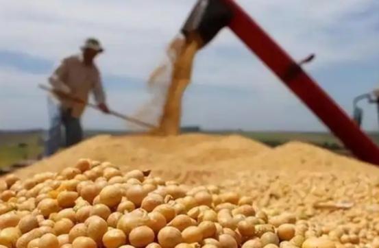 俄罗斯就在隔壁为何中国绕远买美国巴西大豆？中国不选俄罗斯大豆，关键在3点！想想看