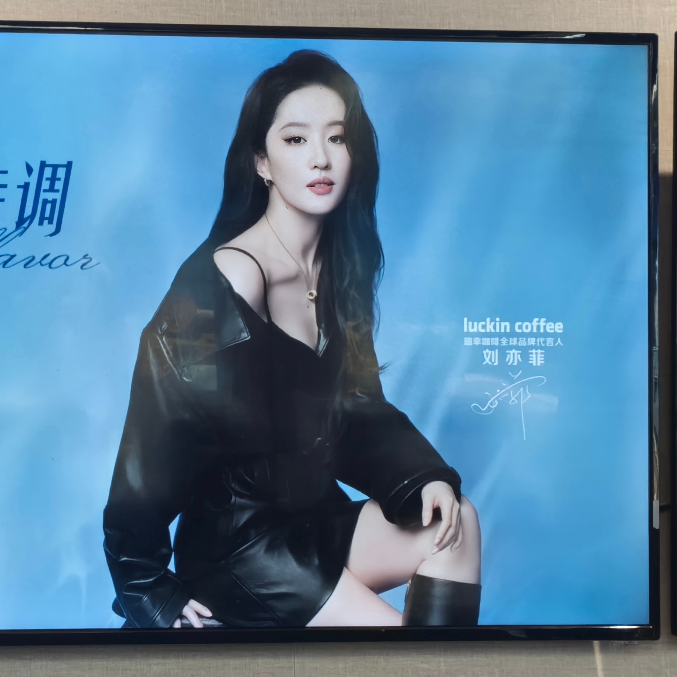 又遇见刘亦菲了