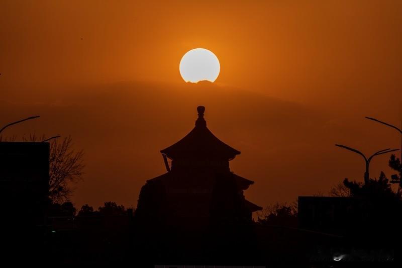 我按下快门的瞬间，飞鸟掠过天际，翅膀上沾着落日的光芒，整个画面静谧而美好，时间仿